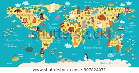 animals-world-map-vector-illustration-450w-307824071.jpg
