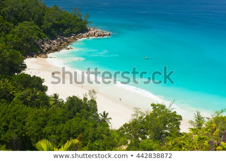 beautiful-famous-beach-anse-georgette-450w-442838872.jpg
