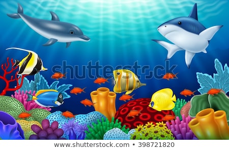 beautiful-underwater-world-corals-tropical-450w-398721820.jpg