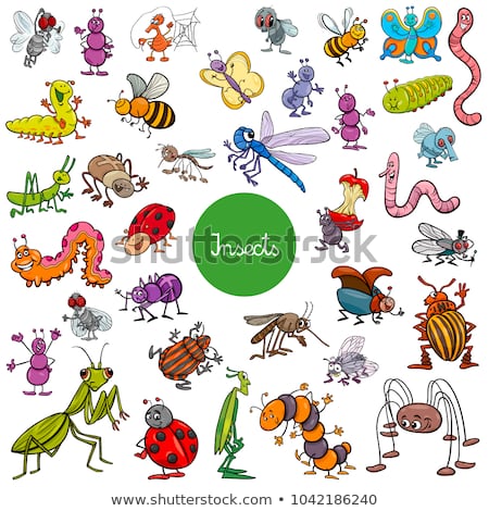 cartoon-illustration-insects-animal-characters-450w-1042186240.jpg