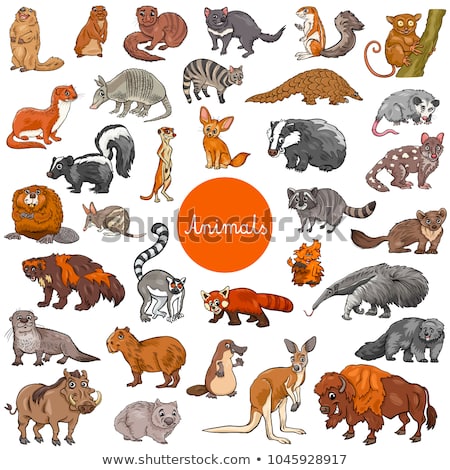 cartoon-illustration-wild-mammals-animal-450w-1045928917.jpg
