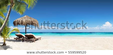 chairs-umbrella-palm-beach-tropical-450w-559599520.jpg