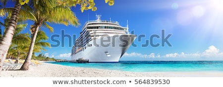 cruise-caribbean-palm-trees-tropical-450w-564839530.jpg