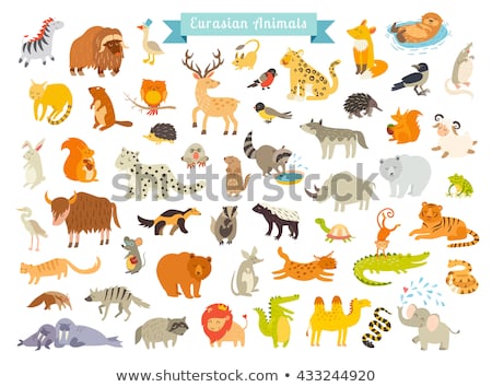 eurasian-animals-vector-illustration-mammals-450w-433244920.jpg