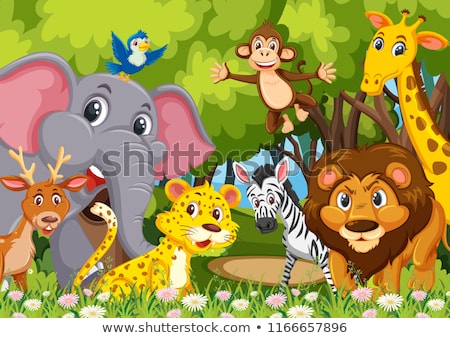 group-animals-jungle-illustration-450w-1166657896.jpg