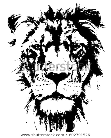 hand-drawn-lion-natural-colors-450w-602791526.jpg