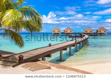 water-villas-bungalows-wooden-bridge-450w-1246975513.jpg